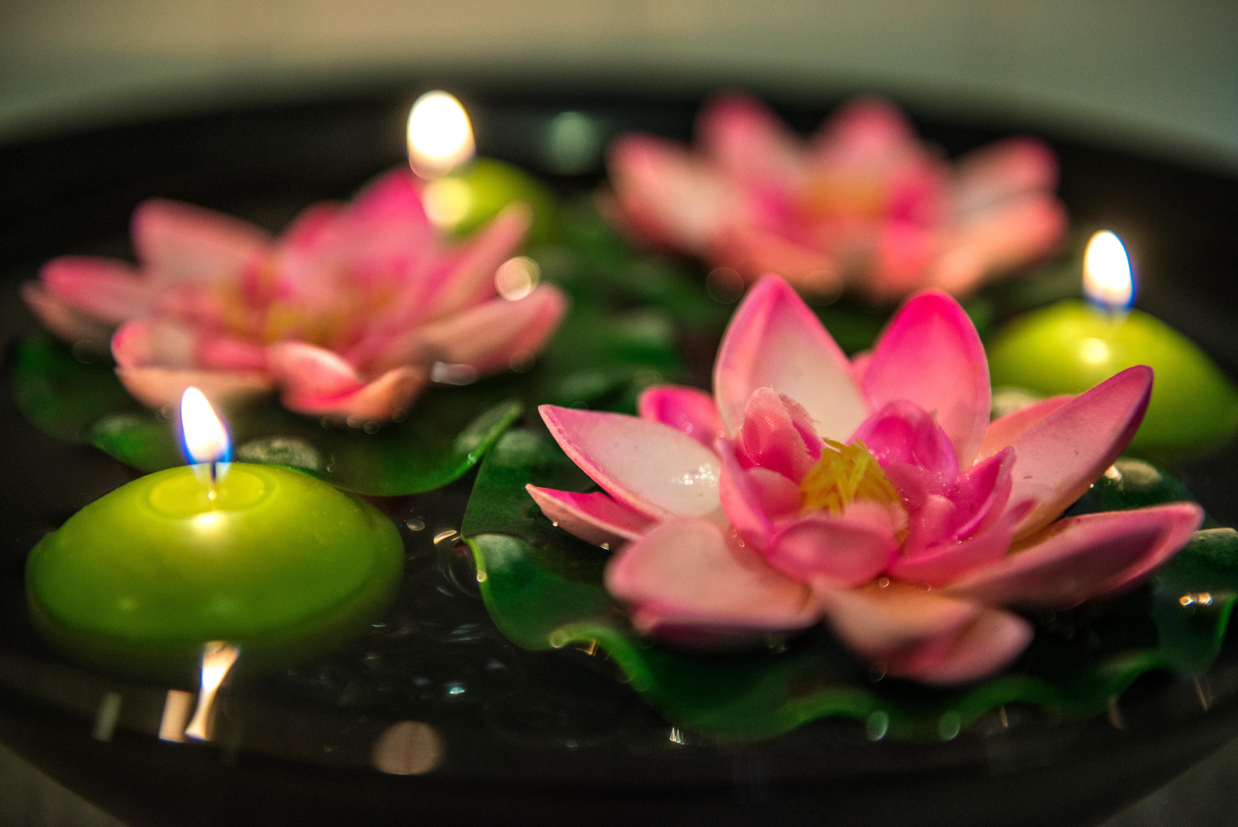 Vale D'El Rei Hotel & Villas การ์วอยโร ภายนอก รูปภาพ